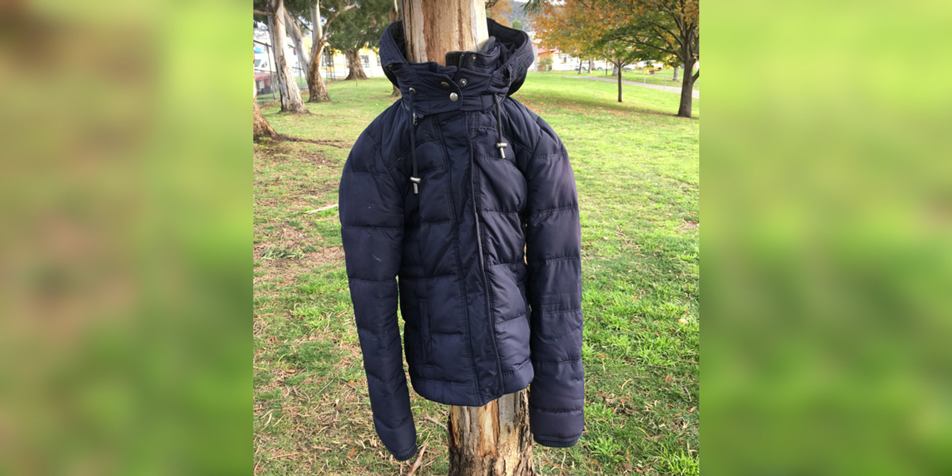 FREE ON A TREE,COATS