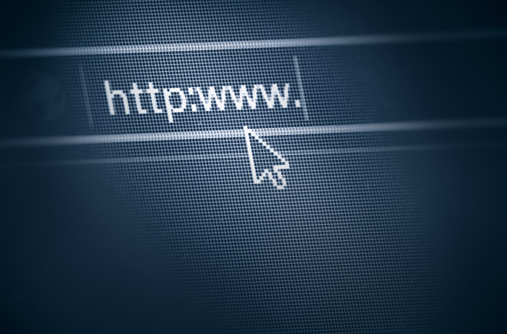 WORLD WIDE WEB