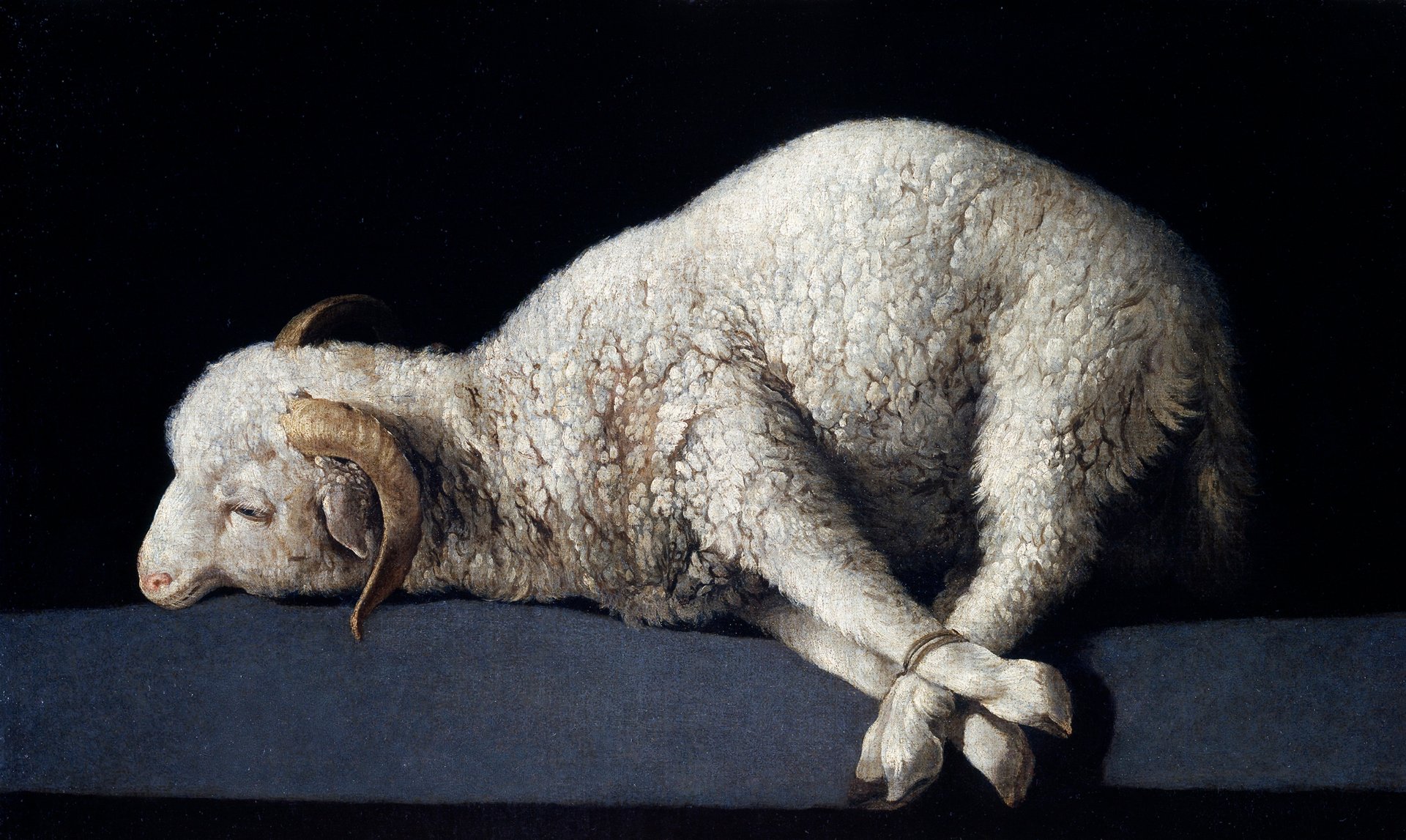 Agnus Dei - Zurbaran