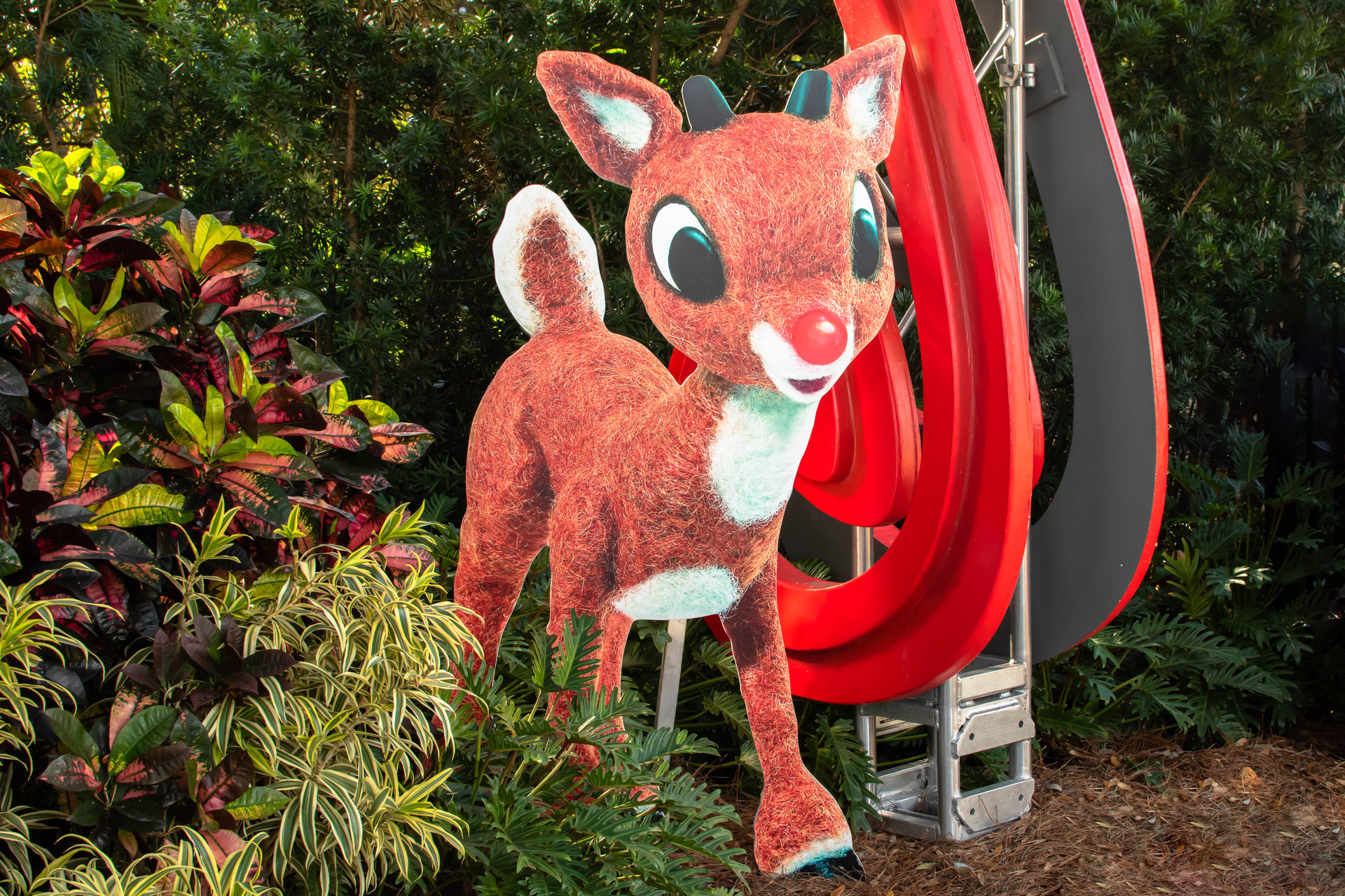 Rudolph the Red-nosed reindeer