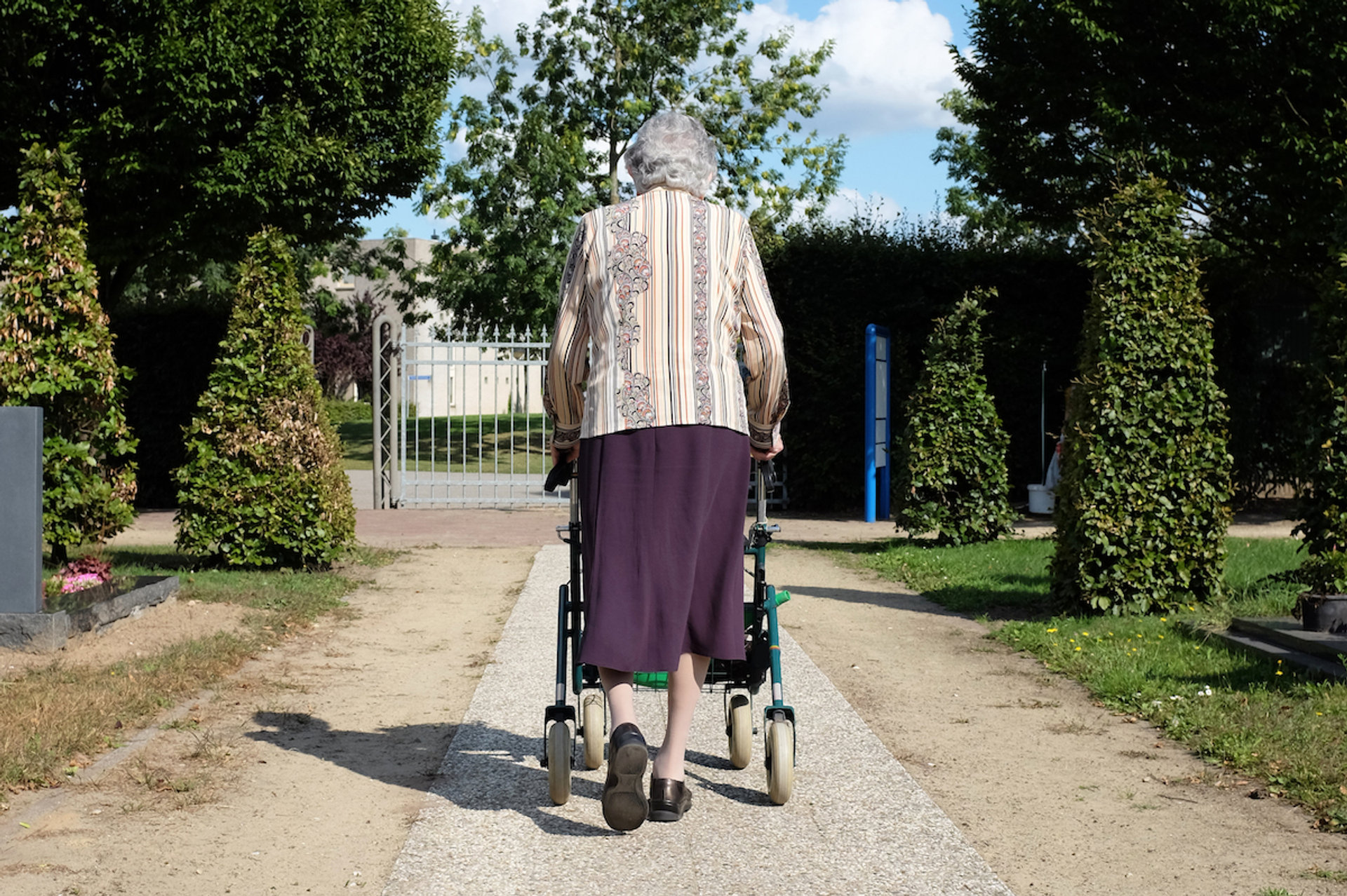 shutterstock_204897466-en.jpg