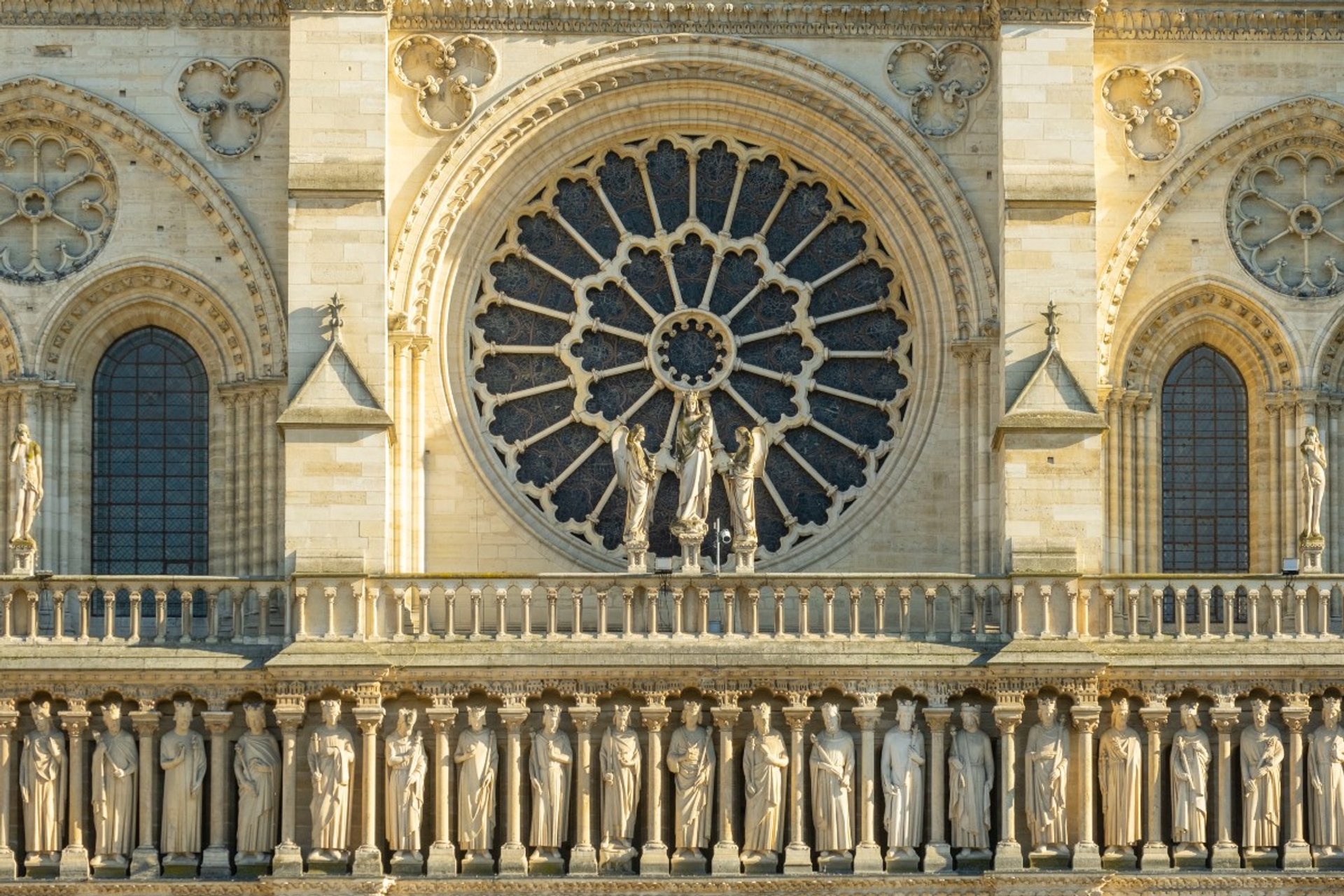 ROSE-NOTRE-DAME-DE-PARIS.jpg