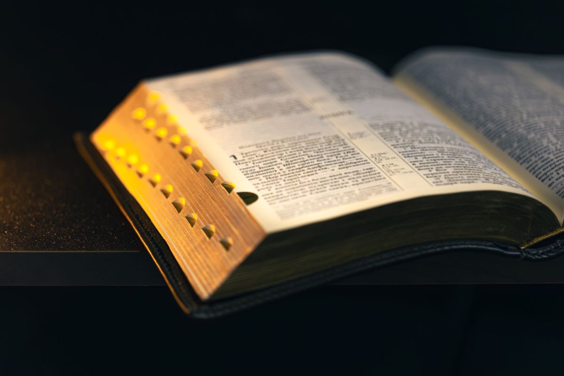 bible