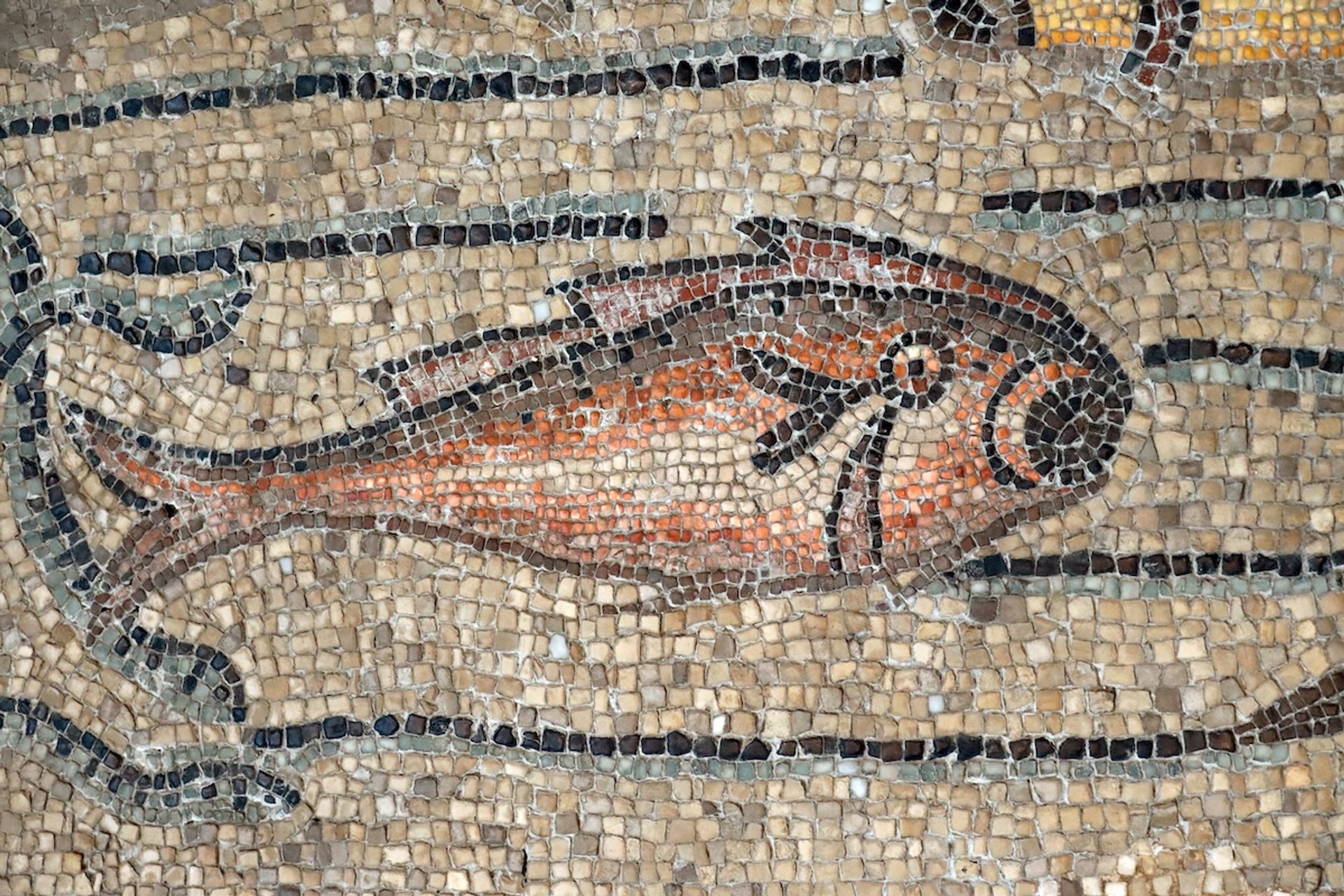 Christian-fish-symbol.jpg