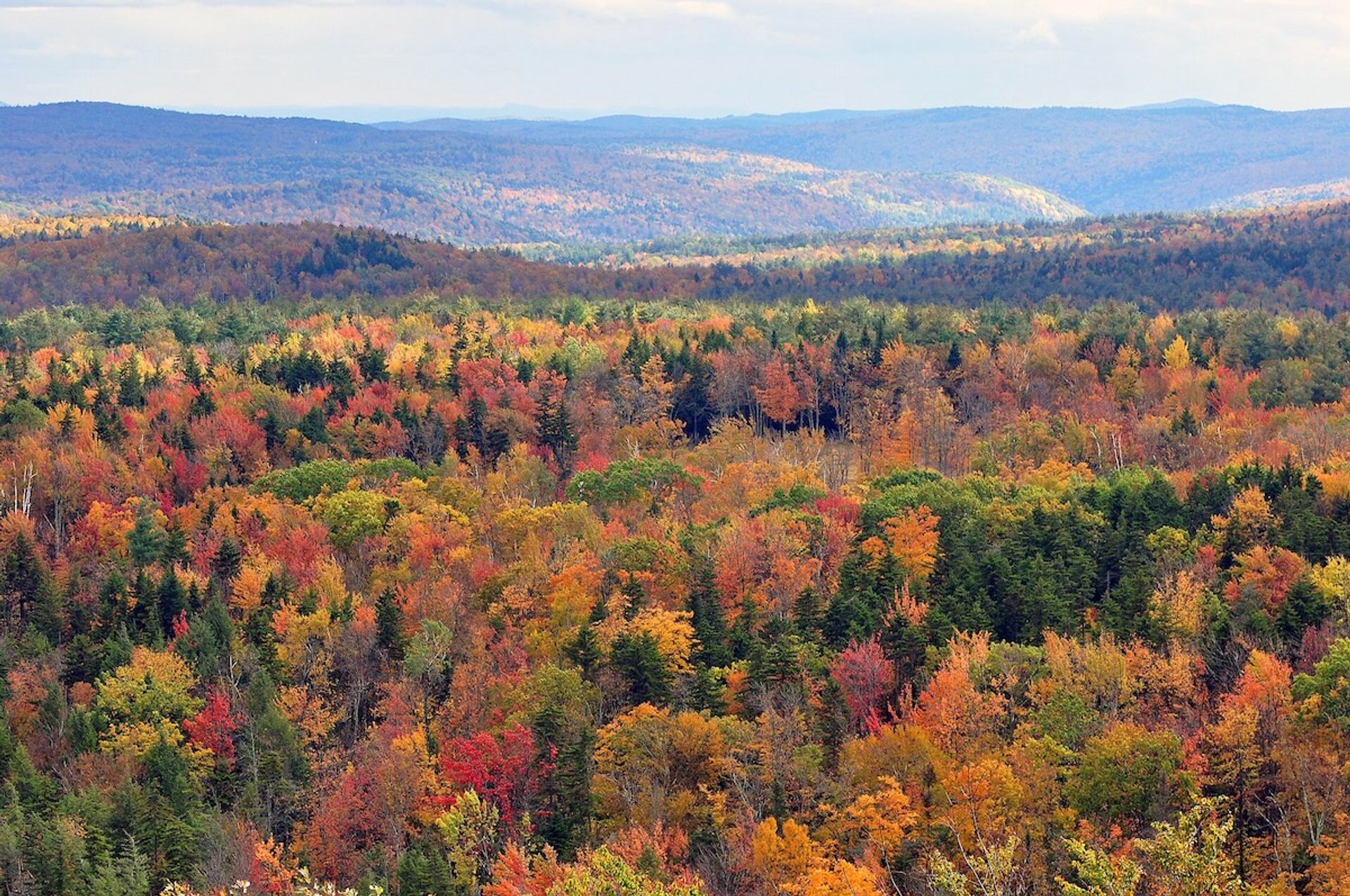 fall-foliage.jpg