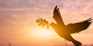Promover la paz en nuestro entorno es congruencia cristiana