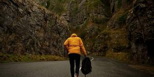 Vocação: caminho de vida