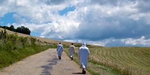 Cartuxos: a fascinante ordem religiosa mais austera e silenciosa do mundo
