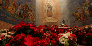 US bishops discuss joining Intercontinental Guadalupan Novena