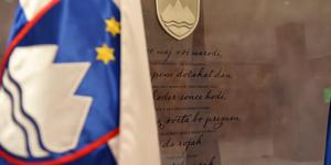Manjvrednostni kompleks, čeprav slovenščini še nikoli ni šlo bolje
