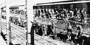 O companheiro de Maximiliano Kolbe que foi um farol em Auschwitz