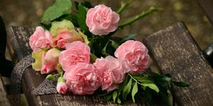 15 flores y su simbología en la fe cristiana