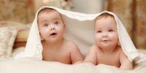 Parents de jumeaux : comment font-ils au quotidien ?