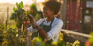 Pesquisas comprovam: hobbies como a jardinagem são benéficos à saúde