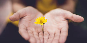 ¿De qué sirve tener virtudes y vivir con valores?