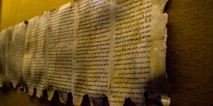 DNA archaeology suggests new interpretation of Dead Sea Scrolls