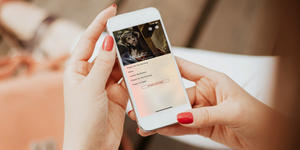 7 of the best Catholic apps to boost your prayer life