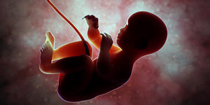 Disney pagará gastos de funcionárias que quiserem viajar para fazer aborto