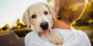 8 Inspiring spiritual names for your family dog