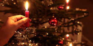 ¿Cuándo y cómo nació (realmente) el árbol de Navidad?