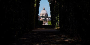 Retiring archivist writes of Vatican Archives’ secrets