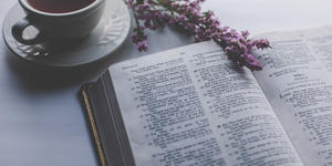 Cinq clés pour lire la Bible en vérité