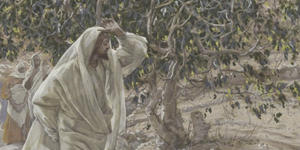 Does Tuesday in Holy Week have a special name?