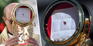 Carlo Acutis intercedeu nestes 3 milagres eucarísticos?