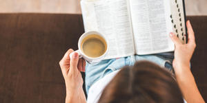 Why the Song of Songs is perfect to read during Advent