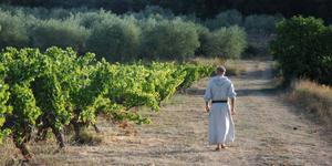 Au Barroux, la vigne héritière du travail des moines
