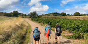 Google’s incredible Camino de Santiago pilgrimage page