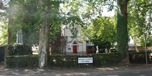 À Saint-Joseph-du-Chêne, le vieil arbre qui résiste aux pèlerins