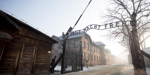 Sobreviviente del Holocausto envía carta de agradecimiento al Papa Francisco