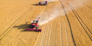 L’agriculture, fruit de la terre et du travail des hommes…