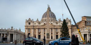 Llegó el árbol de Navidad a la Plaza de San Pedro, 28 metros de altura