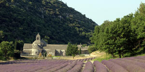 Take a peaceful retreat at Sénanque Abbey in Provence, France