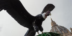 Il presepe di Piazza San Pietro di quest’anno simboleggia la chiamata universale alla salvezza