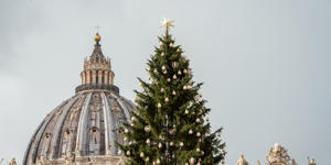 The enchanting origins of the Christmas tree tradition