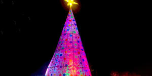 The special meaning of this pink Christmas tree in the Philippines