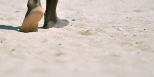 When we are undone, frazzled: Prayer is re-creation