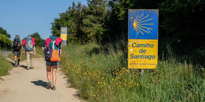 Camino de Santiago: 2025 nuevamente un año de récord