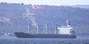 Ukrainian grain shipments not reaching world trouble spots yet