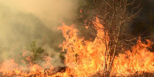 With 1,000 firefighters battling horrific wildfires, French fire chief says he’s “waiting for God”