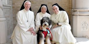 Nuns, kids, and an adorable therapy dog: Check out these pics!