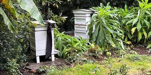 The most bizarre royal tradition that involves bees, prayer … and a knock