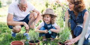 Les vertus insoupçonnées du jardinage