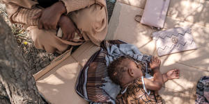 Agencies hoping for good outcome in Ethiopia talks; starvation and sex slavery being used as weapons