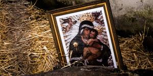 Madonna od kur. Historia, która zaczęła się od snu i… gdakania