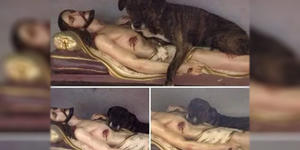 The dog who was seen in a church lying with a statue of Jesus