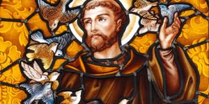 Tout savoir sur saint François d’Assise